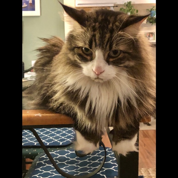 Meet your Posher, Louise - Picture 9 of 9